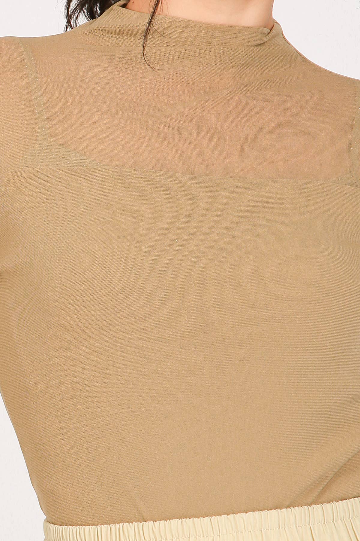 Sheer Turtleneck Top with Bust Lining PE2076