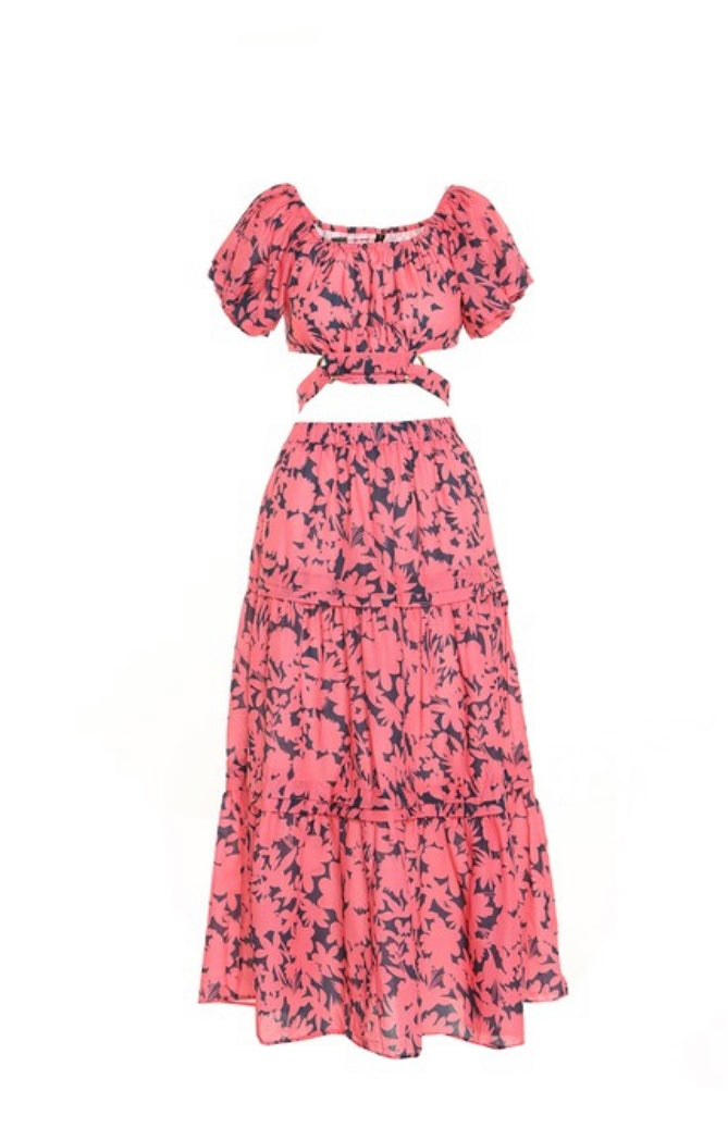 Conjunto de flores rosas