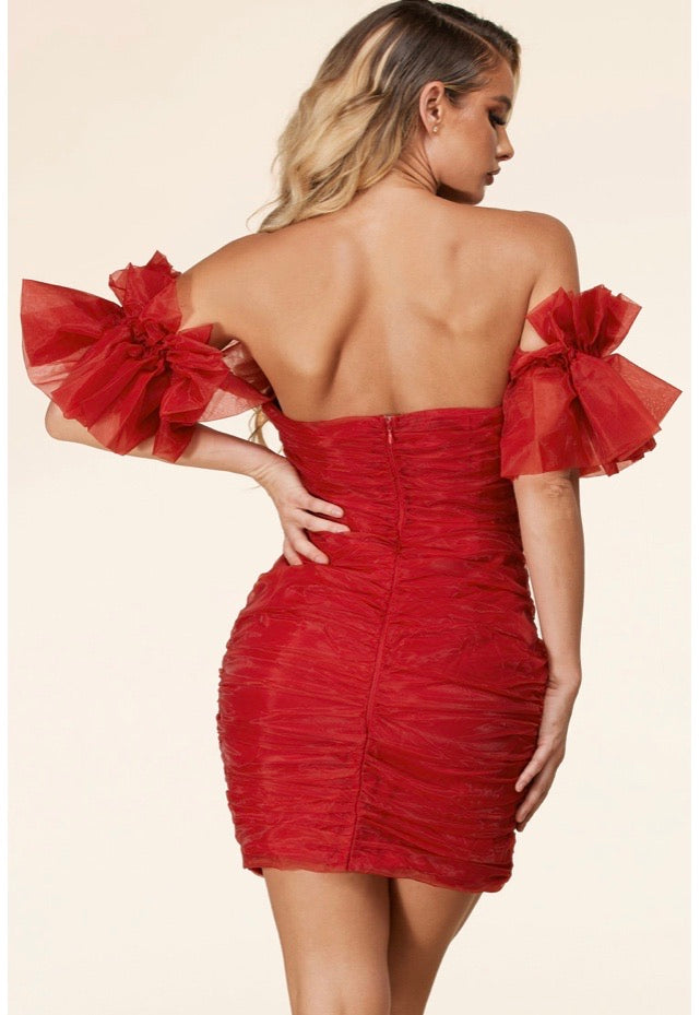 Vestido de terciopelo rojo